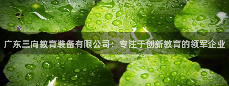 德国意昂3集团：广东三向教育装备有限公司：专注于创新教育的领