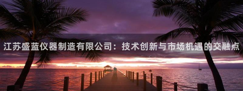 德国意昂3集团：江苏盛蓝仪器制造有限公司：技术创新与市场机遇