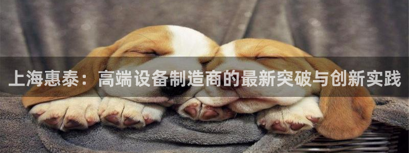 意昂3集团官网首页：上海惠泰：高端设备制造商的最新突破与创新