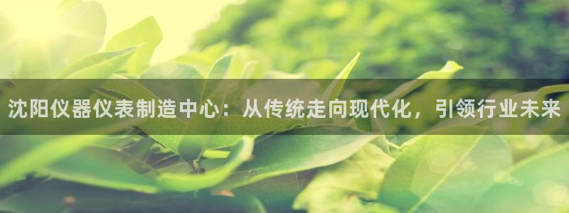 意昂体育3招商电话是多少：沈阳仪器仪表制造中心：从传统走向现