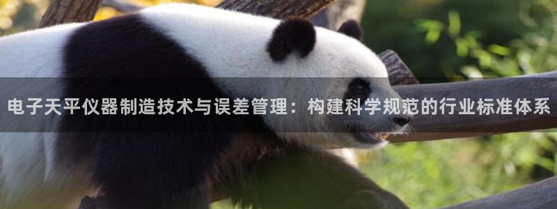 意昂3集团：电子天平仪器制造技术与误差管理：构建科学规范的行