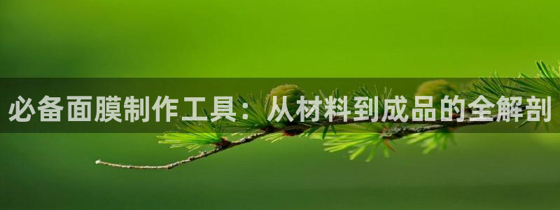 意昂3五金厂：必备面膜制作工具：从材料到成品的全解剖