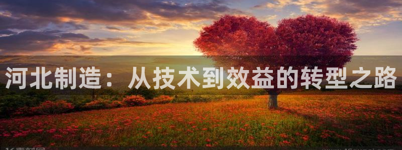 意昂体育3招商电话是多少：河北制造：从技术到效益的转型之路