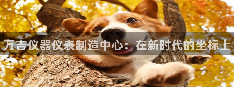 意昂体育3招商电话：万吉仪器仪表制造中心：在新时代的坐标上