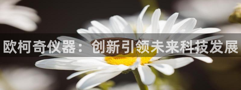 意昂体育3是干嘛的公司：欧柯奇仪器：创新引领未来科技发展