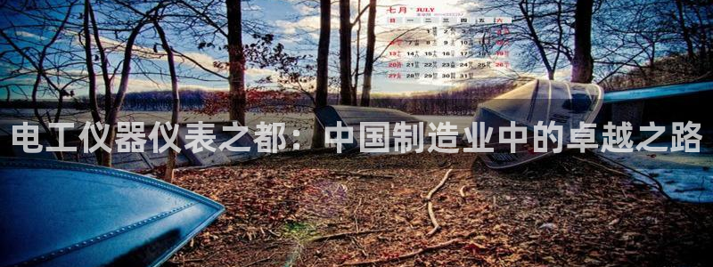 意昂体育3软件：电工仪器仪表之都：中国制造业中的卓越之路