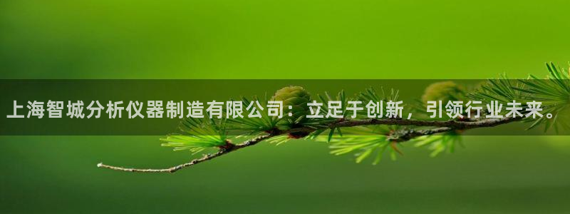 意昂体育3平台注册流程图：上海智城分析仪器制造有限公司：立足