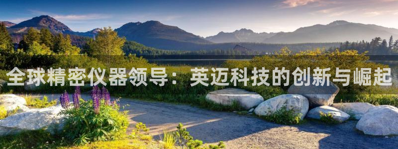 意昂体育3平台注册要钱吗安全吗：全球精密仪器领导：英迈科技的