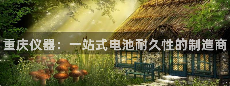 意昂3五金厂：重庆仪器：一站式电池耐久性的制造商