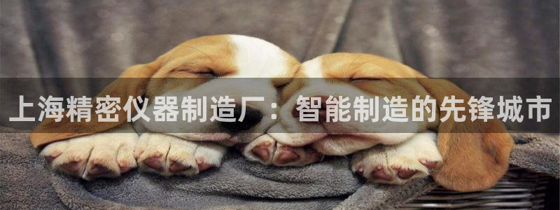 意昂体育3软件：上海精密仪器制造厂：智能制造的先锋城市