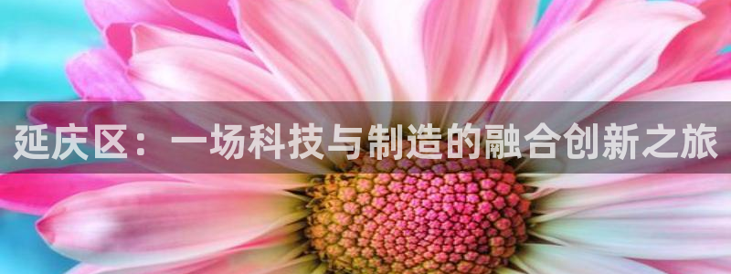意昂体育3平台注册：延庆区：一场科技与制造的融合创新之旅