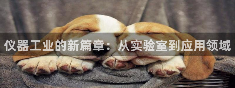 意昂体育3官方客服电话：仪器工业的新篇章：从实验室到应用领域