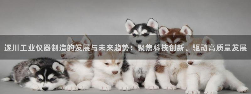 意昂3集团官网首页：遂川工业仪器制造的发展与未来趋势：聚焦科