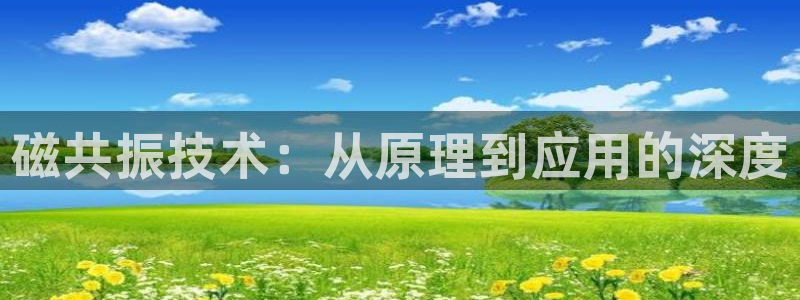 意昂体育3：磁共振技术：从原理到应用的深度