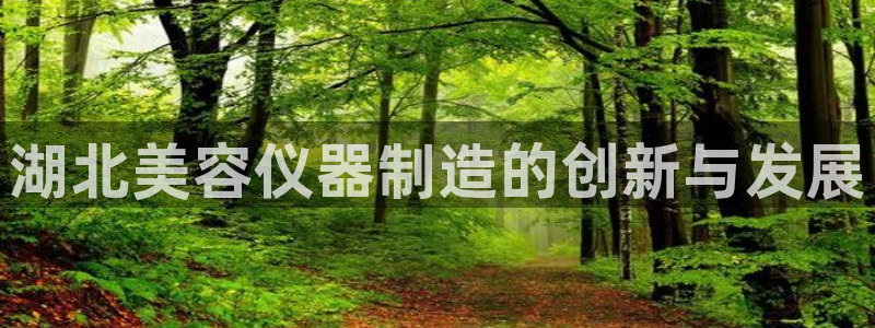 意昂体育3平台注册要钱吗是真的吗：湖北美容仪器制造的创新与发