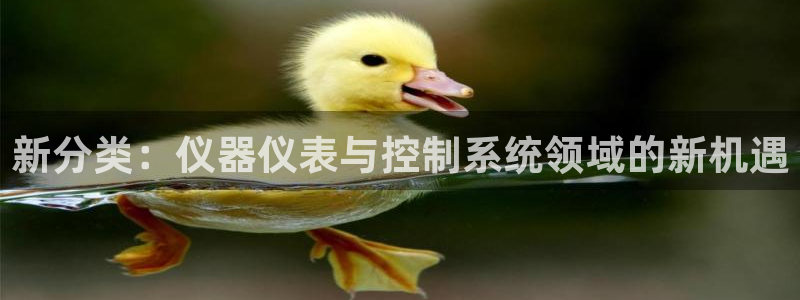 意昂3集团官网网址：新分类：仪器仪表与控制系统领域的新机遇
