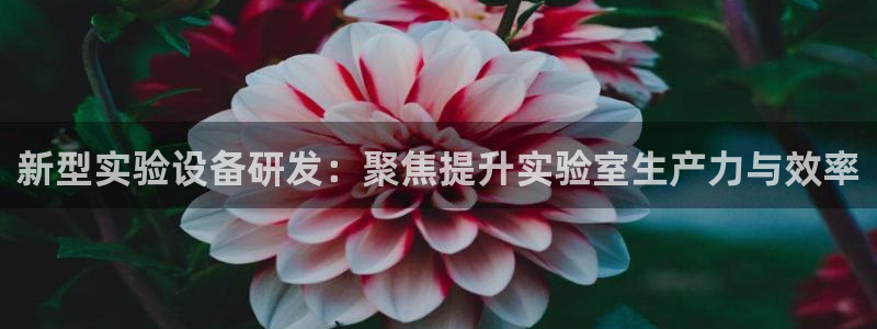 意昂体育3招商电话号码查询：新型实验设备研发：聚焦提升实验室