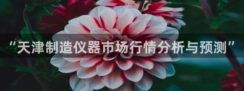 意昂体育3平台注册要钱吗是真的吗：“天津制造仪器市场行情分析