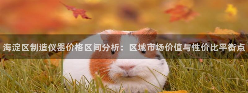 意昂体育3开户：海淀区制造仪器价格区间分析：区域市场价值与性