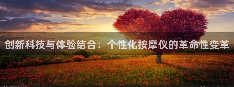 意昂体育3平台是正规平台吗：创新科技与体验结合：个性化按摩仪