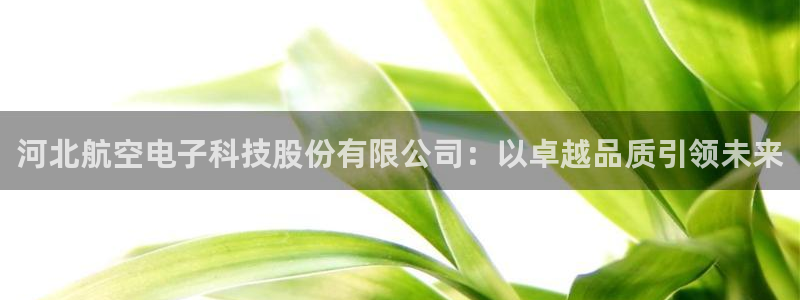 意昂体育3平台注册要钱吗：河北航空电子科技股份有限公司：以卓