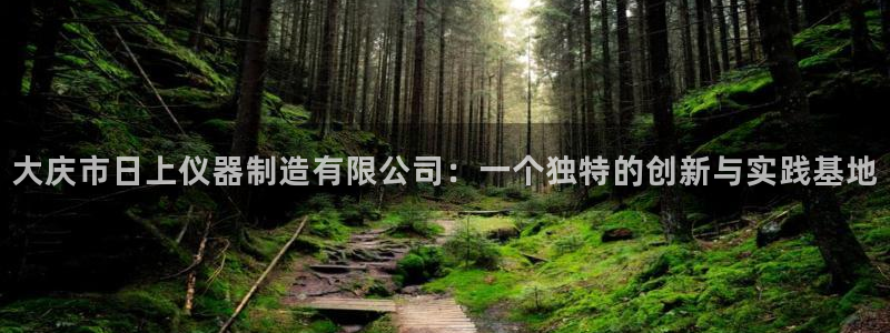 意昂体育3娱乐：大庆市日上仪器制造有限公司：一个独特的创新与