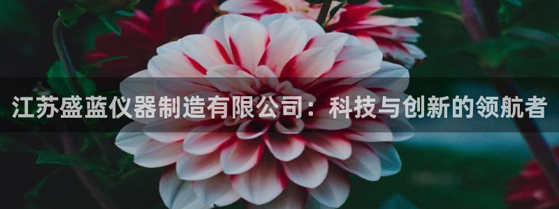 意昂体育3平台APP：江苏盛蓝仪器制造有限公司：科技与创新的