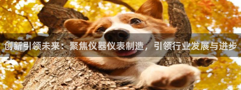 意昂3集团E.ON：创新引领未来：聚焦仪器仪表制造，引领行业