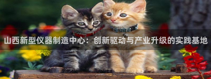 意昂体育3招商电话号码：山西新型仪器制造中心：创新驱动与产业