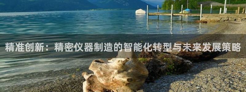 意昂体育3招商电话号码查询：精准创新：精密仪器制造的智能化转