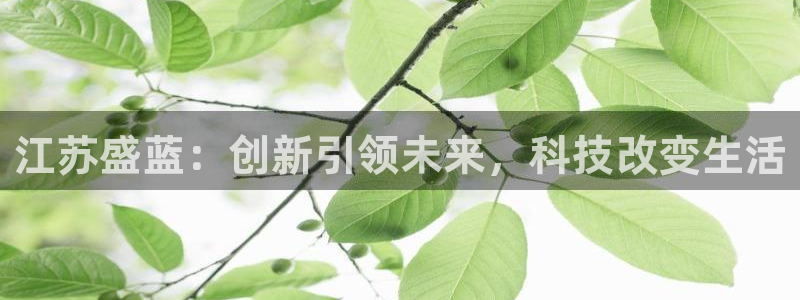 意昂3娱乐代理怎么样：江苏盛蓝：创新引领未来，科技改变生活