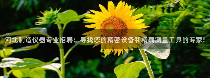意昂3娱乐首页网站大全：河北制造仪器专业招聘：寻找您的精密设