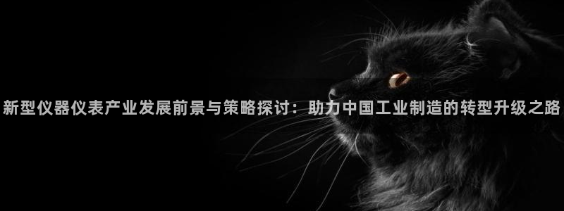 意昂体育3官方客服电话：新型仪器仪表产业发展前景与策略探讨：