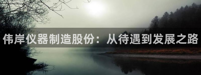 意昂3集团E.ON：伟岸仪器制造股份：从待遇到发展之路