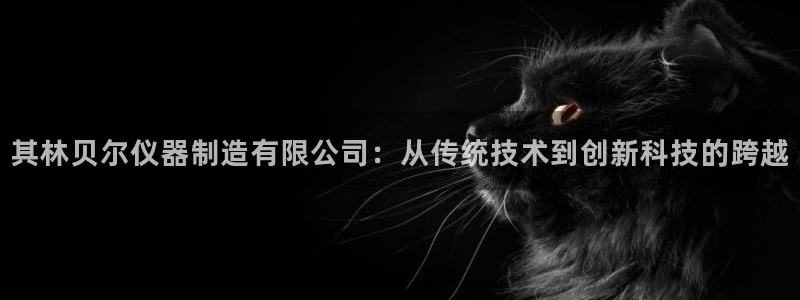 注册意昂3：其林贝尔仪器制造有限公司：从传统技术到创新科技的