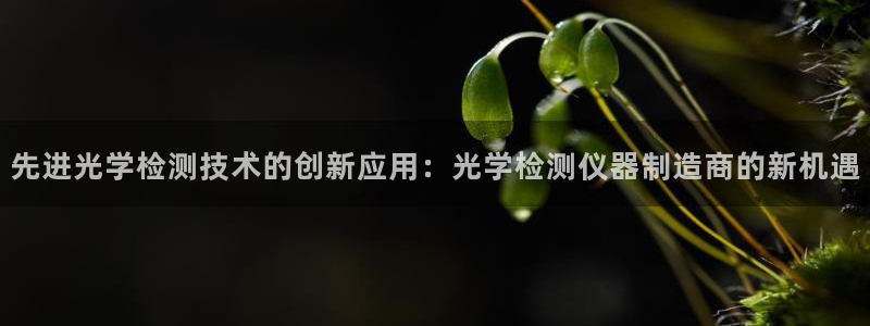 意昂平台体育：先进光学检测技术的创新应用：光学检测仪器制造商