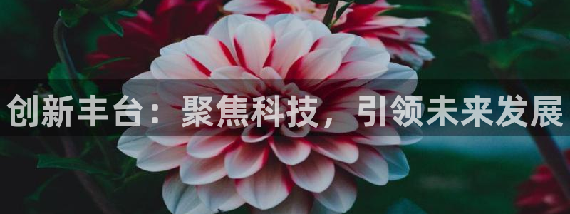 海南意昂体育3发展怎么样：创新丰台：聚焦科技，引领未来发展