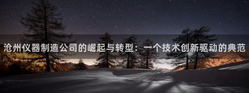 意昂体育3平台注册：沧州仪器制造公司的崛起与转型：一个技术创