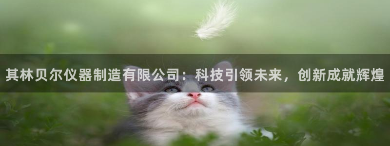 意昂3开户：其林贝尔仪器制造有限公司：科技引领未来，创新成就