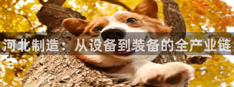 意昂体育3招商电话是多少：河北制造：从设备到装备的全产业链