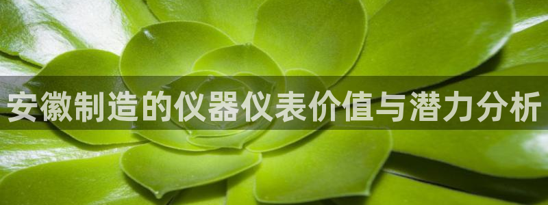 意昂3娱乐网站：安徽制造的仪器仪表价值与潜力分析
