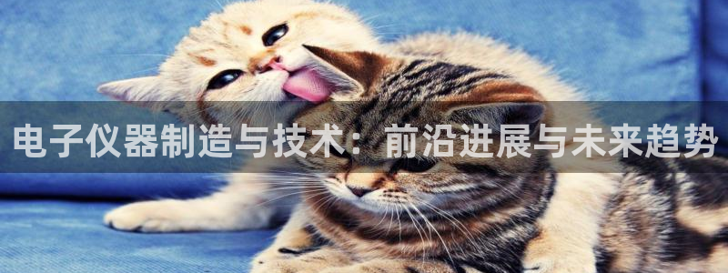 意昂体育3官方客服电话：电子仪器制造与技术：前沿进展与未来趋