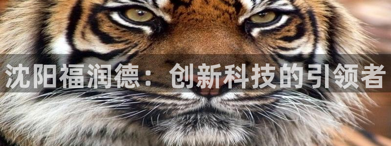意昂体育3联系电话：沈阳福润德：创新科技的引领者
