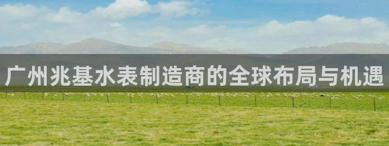 意昂体育3软件：广州兆基水表制造商的全球布局与机遇