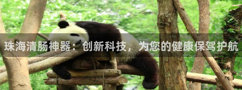 意昂3娱乐网站：珠海清肠神器：创新科技，为您的健康保驾护航
