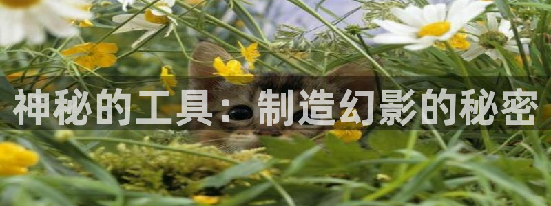 意昂体育3平台APP：神秘的工具：制造幻影的秘密