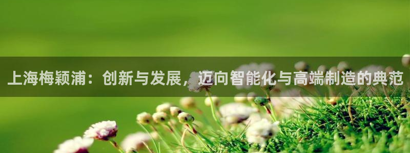 德国意昂3集团：上海梅颖浦：创新与发展，迈向智能化与高端制造