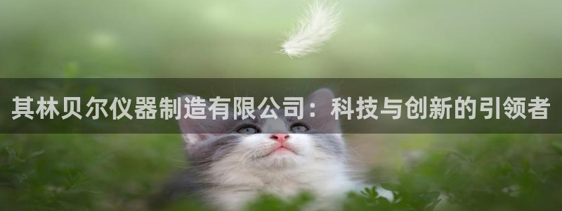 意昂体育3：其林贝尔仪器制造有限公司：科技与创新的引领者