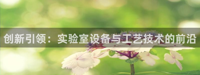 意昂3娱乐首页官网下载：创新引领：实验室设备与工艺技术的前沿