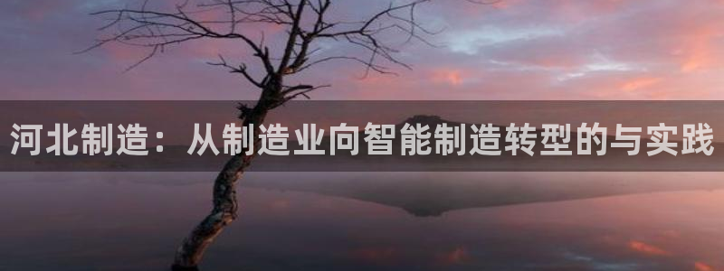 意昂3神州：河北制造：从制造业向智能制造转型的与实践